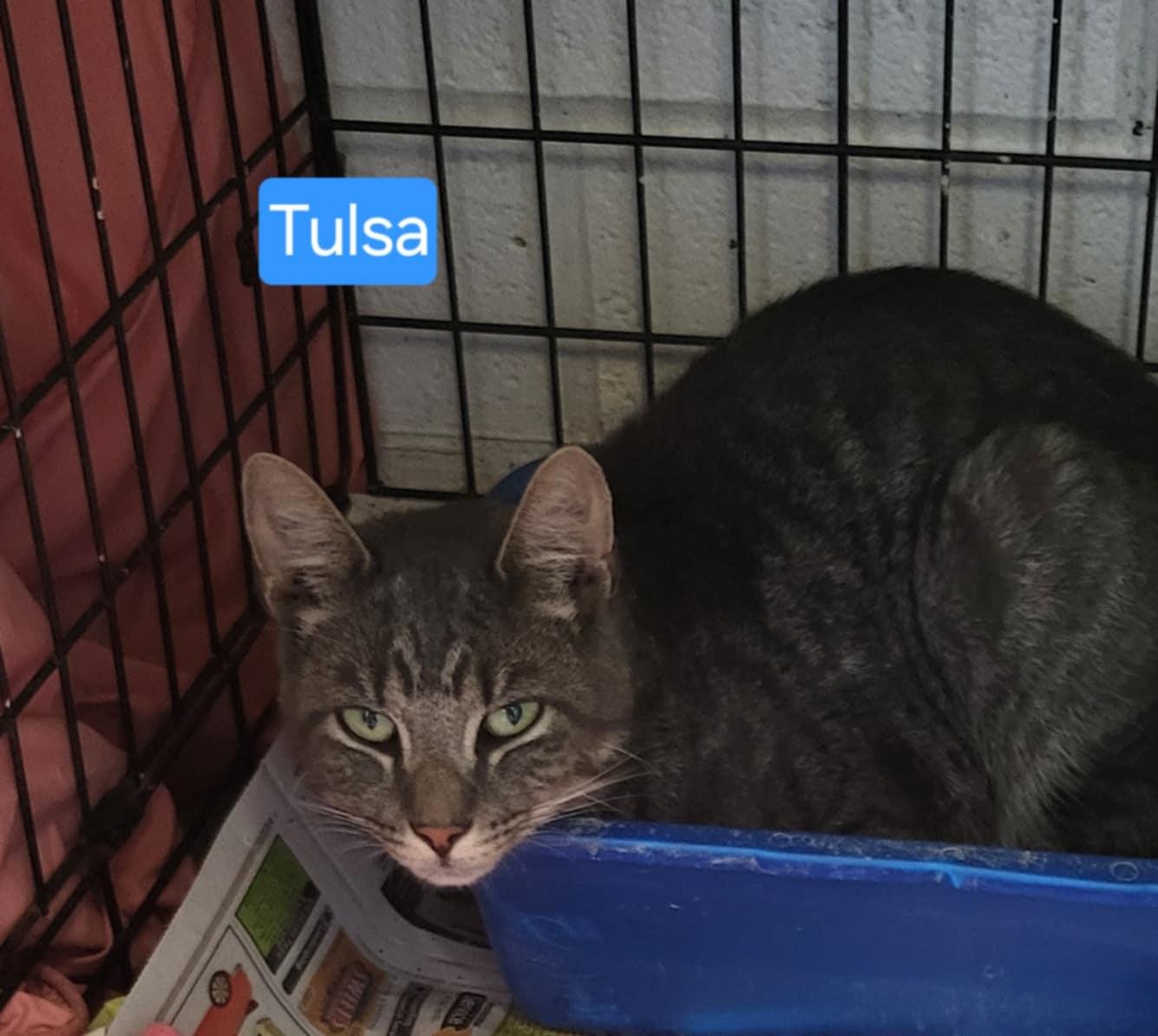 Tulsa