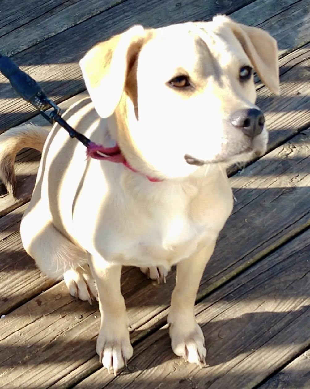 Lili (20250224-06) — thumbnail 2