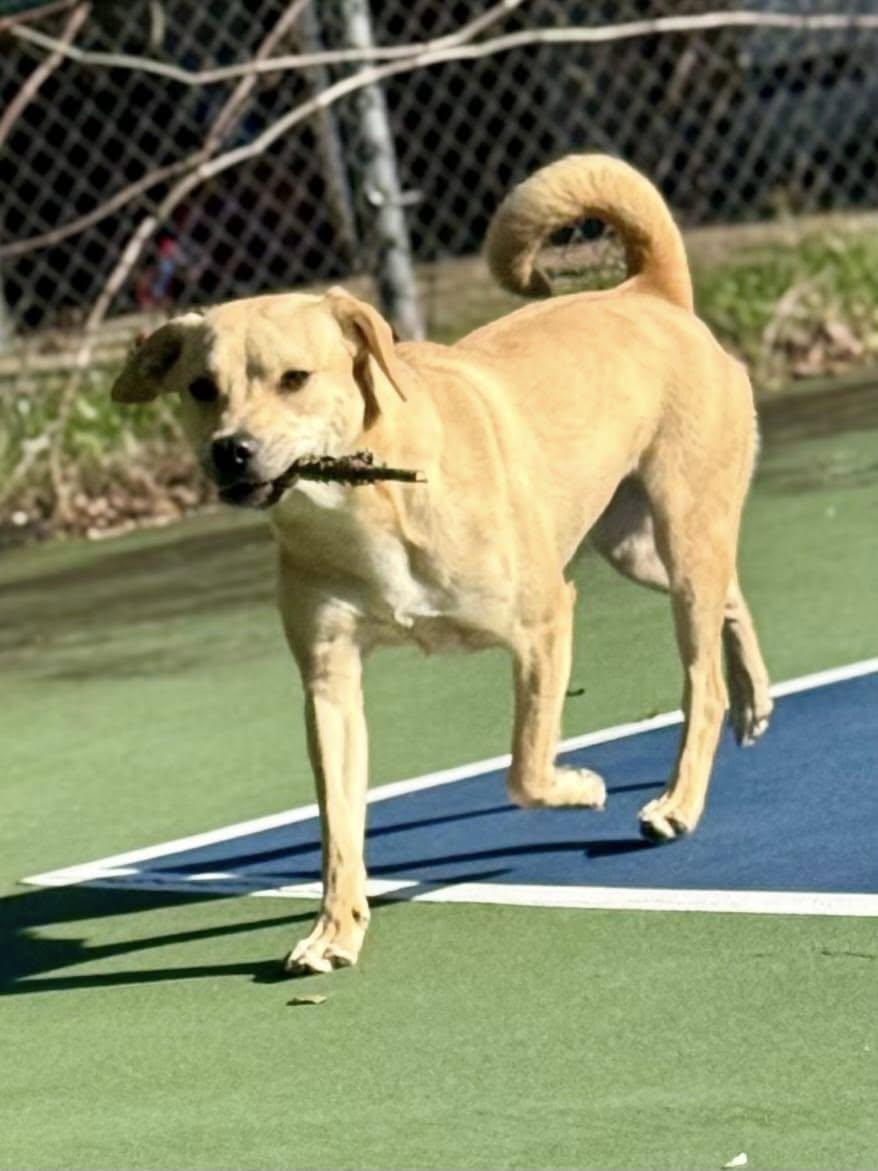 Lili (20250224-06) — thumbnail 3