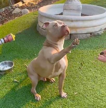 Seven-Has the Cutest Personality