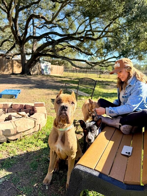 Rodney Roo has Heart Eyes for You — thumbnail 2