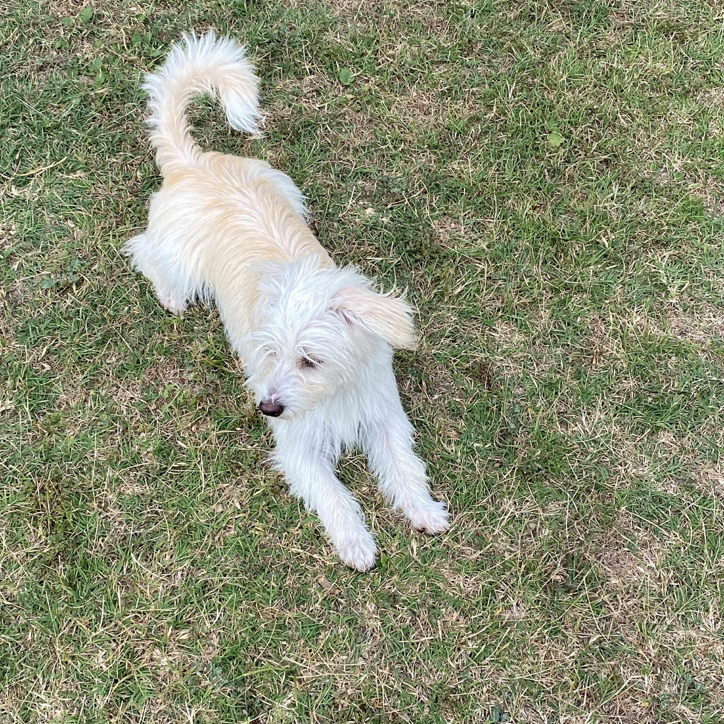 Gigi photo 6