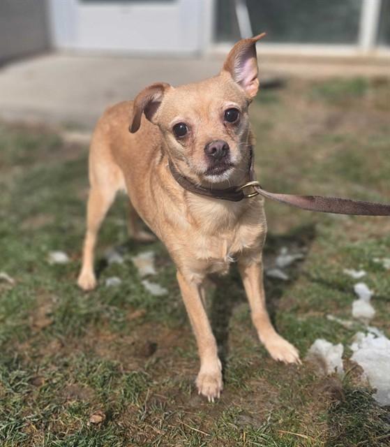 IRIS — thumbnail 2