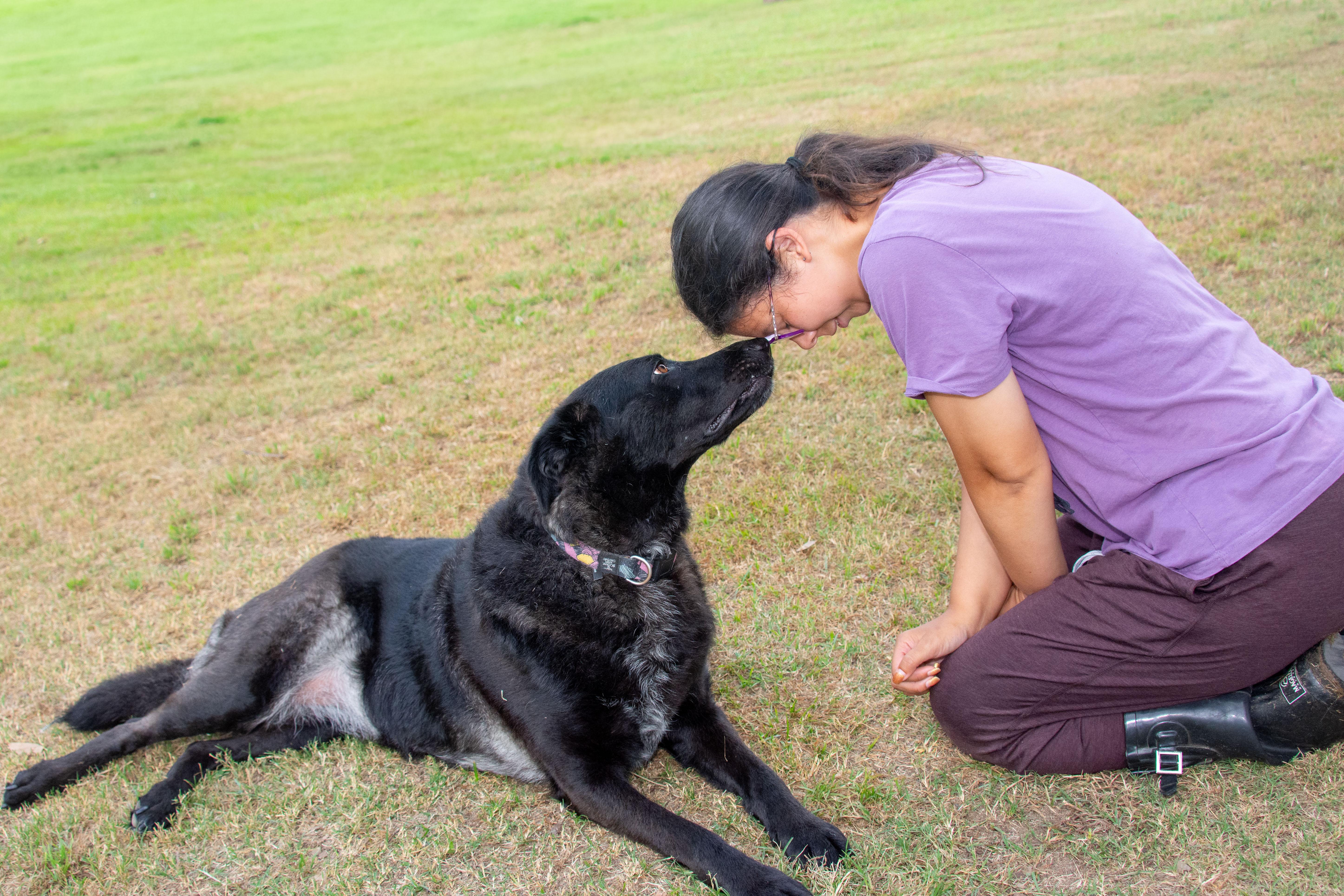 Enlarge Daisy Mae, a Adoptable mixed breed in Richmond, TX image 3/6