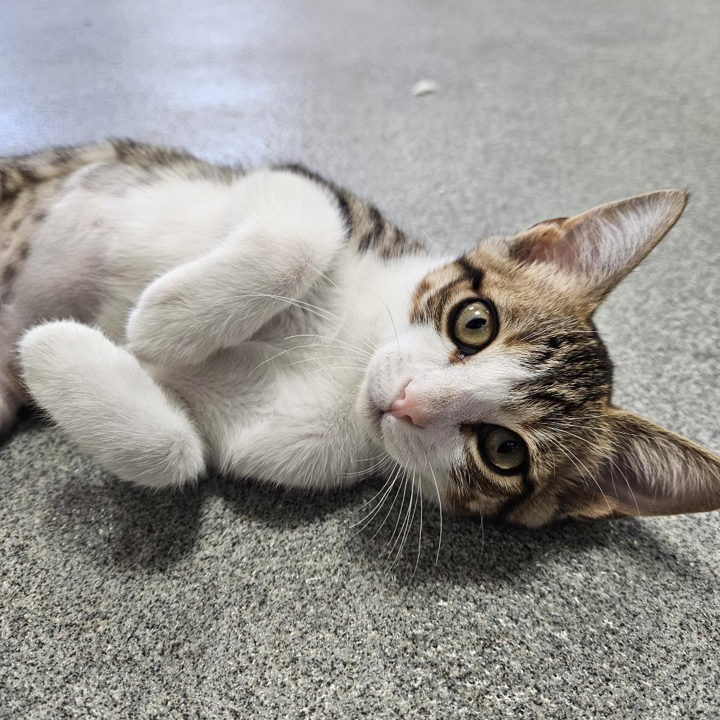 Tasha — thumbnail 2