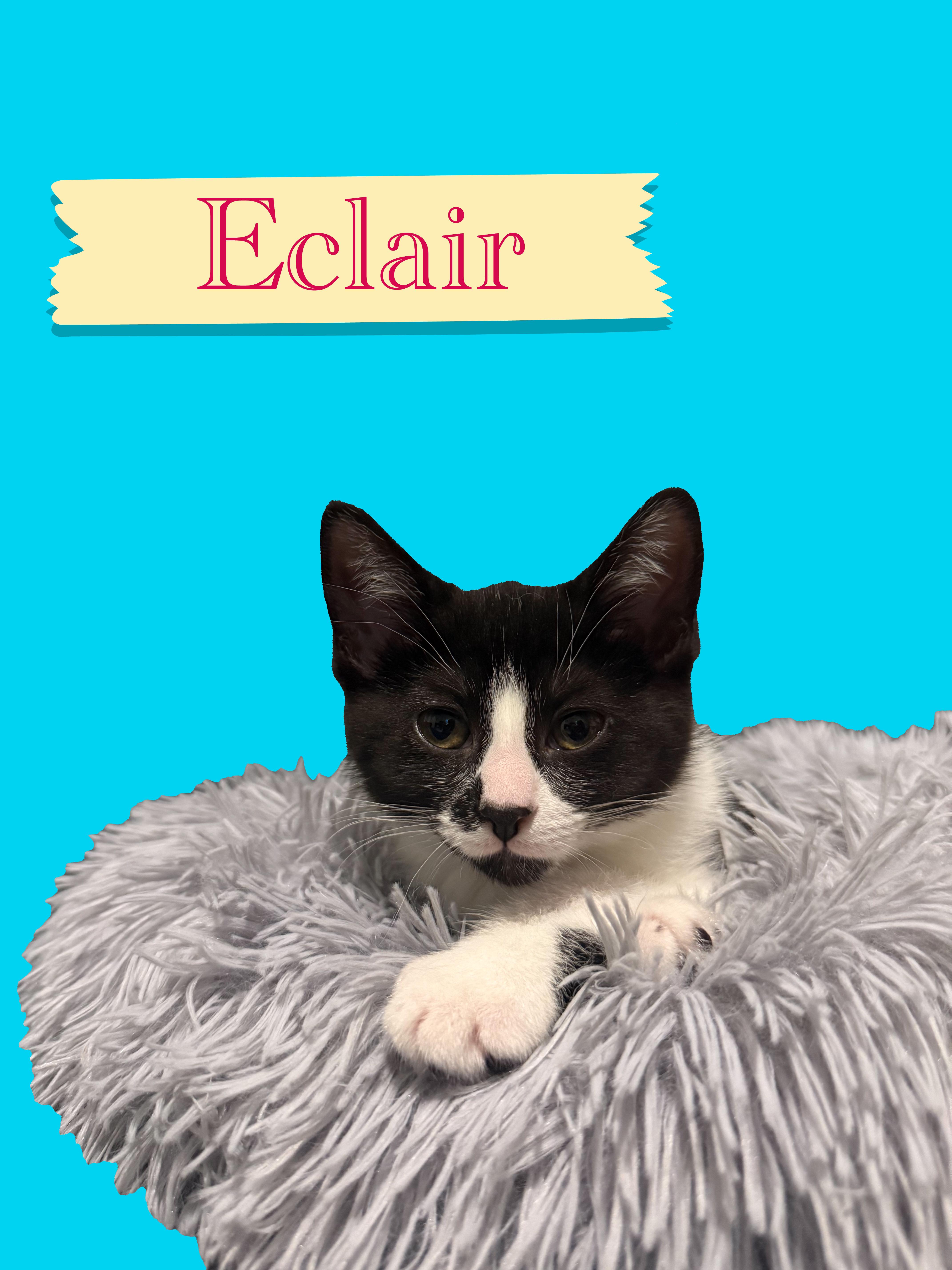 Eclair photo 2