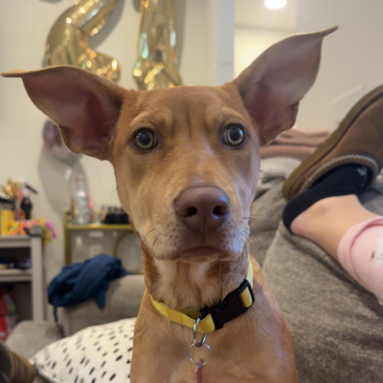 CosMc — thumbnail 2