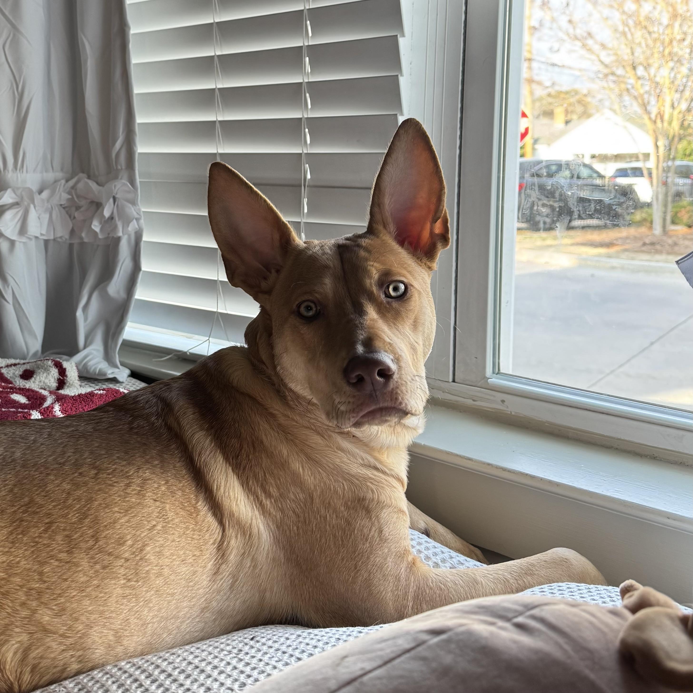 CosMc — thumbnail 4