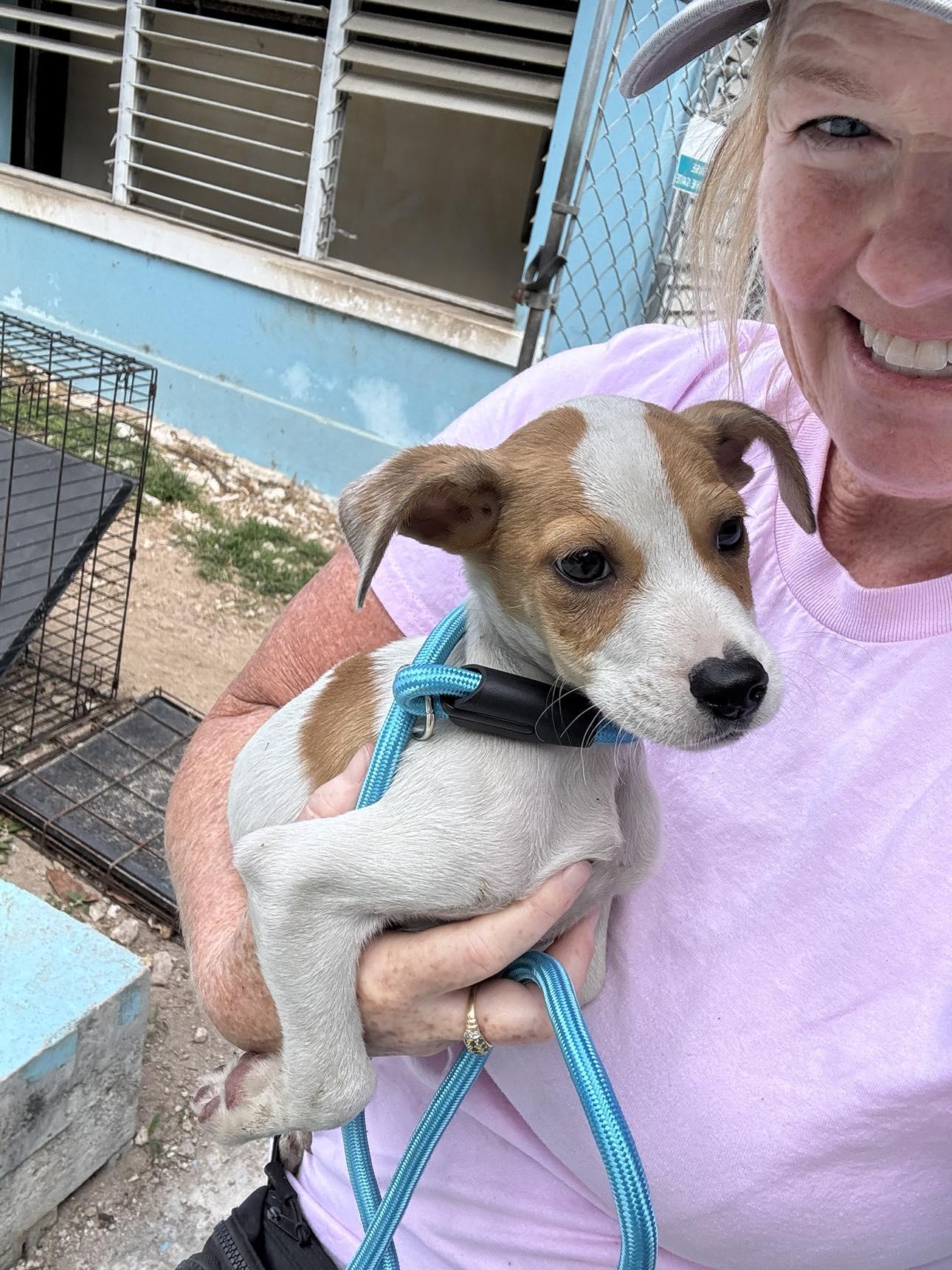 Little Charlie (20260219-10) — thumbnail 4