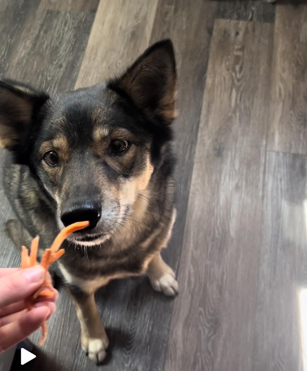 Enlarge Keeva, a Adoptable mixed breed in Oshawa, ON image 2/5