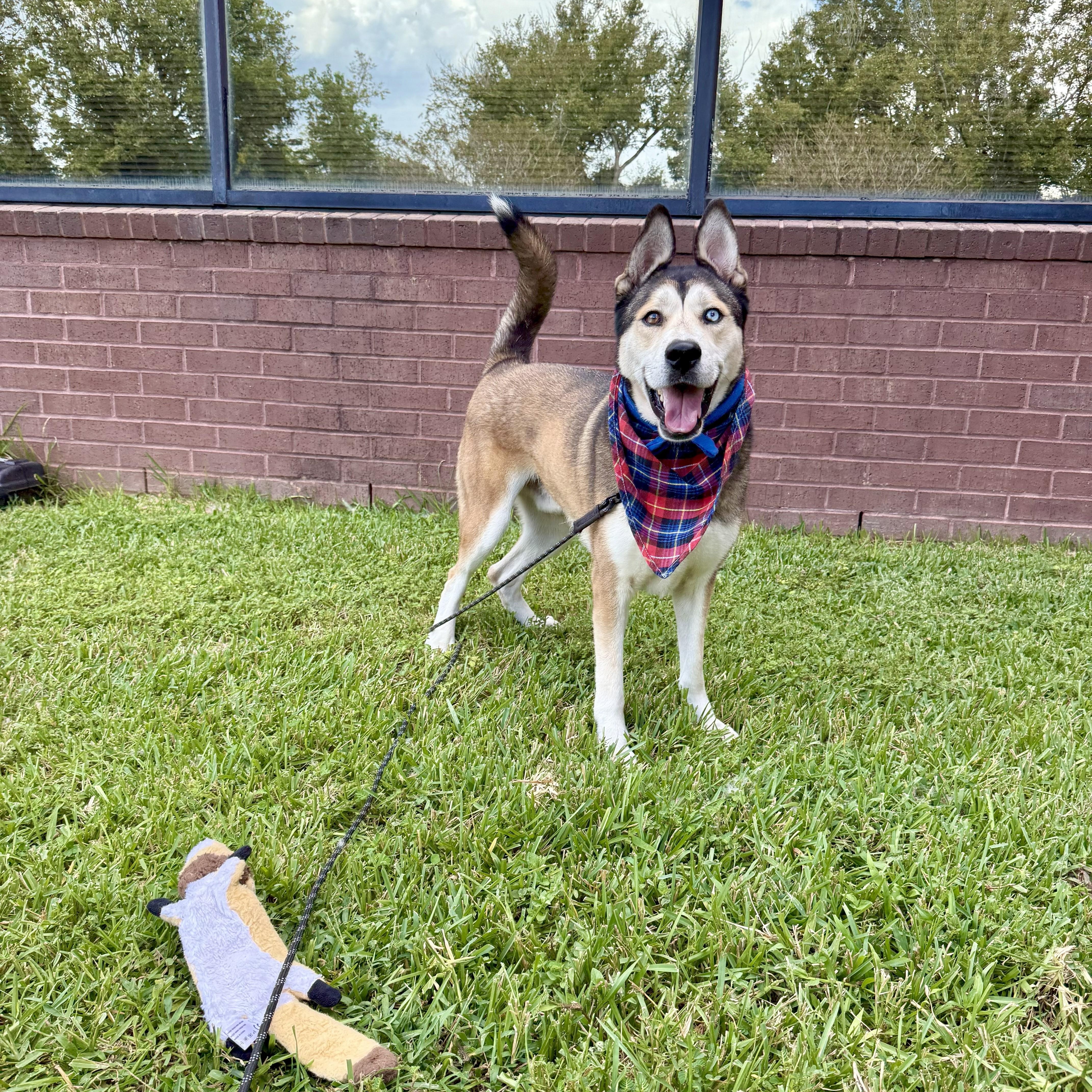 Ken Kix's — thumbnail 4