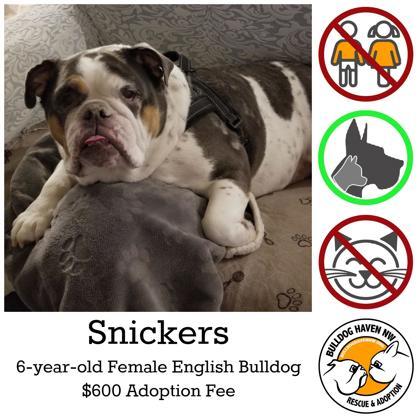 SNICKERS