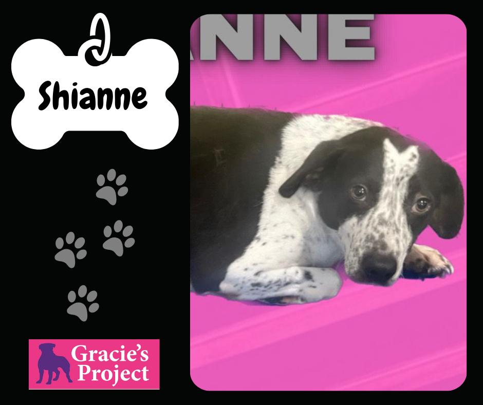 Shianne — thumbnail 2