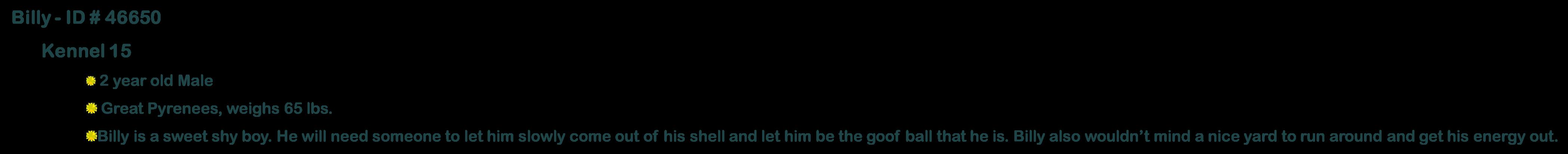 Enlarge Max, a ADOPTABLE mixed breed in Suffolk, VA image 3/3