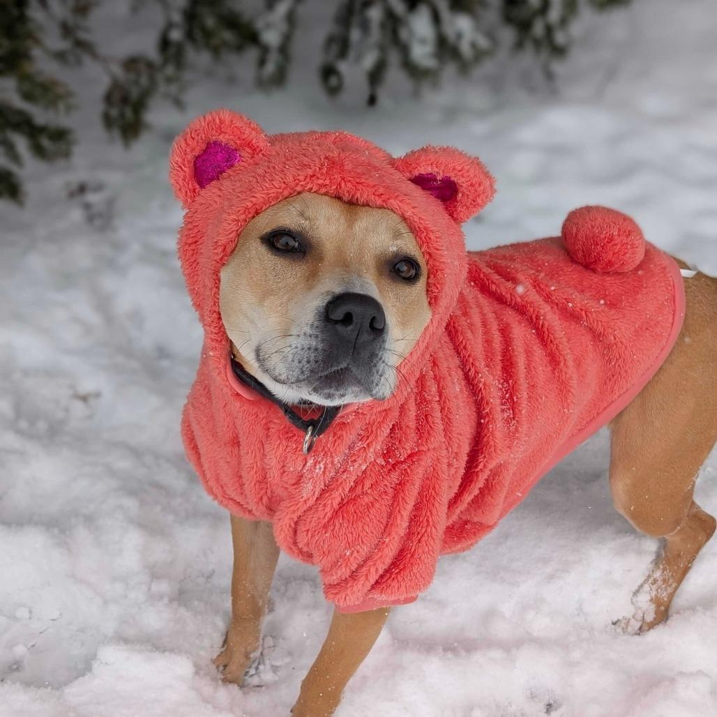 Tatiana — thumbnail 2