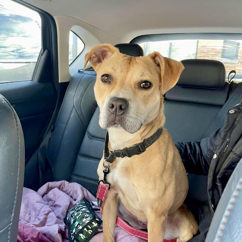 Tatiana — thumbnail 3