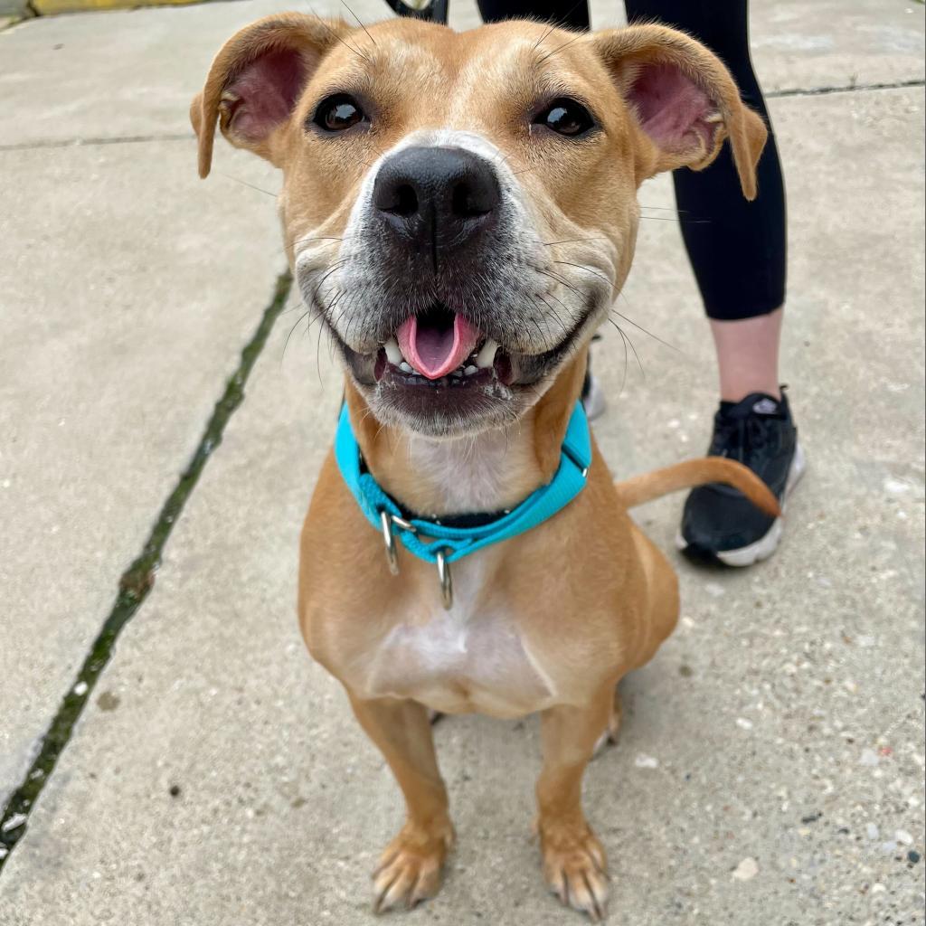 Tatiana — thumbnail 4