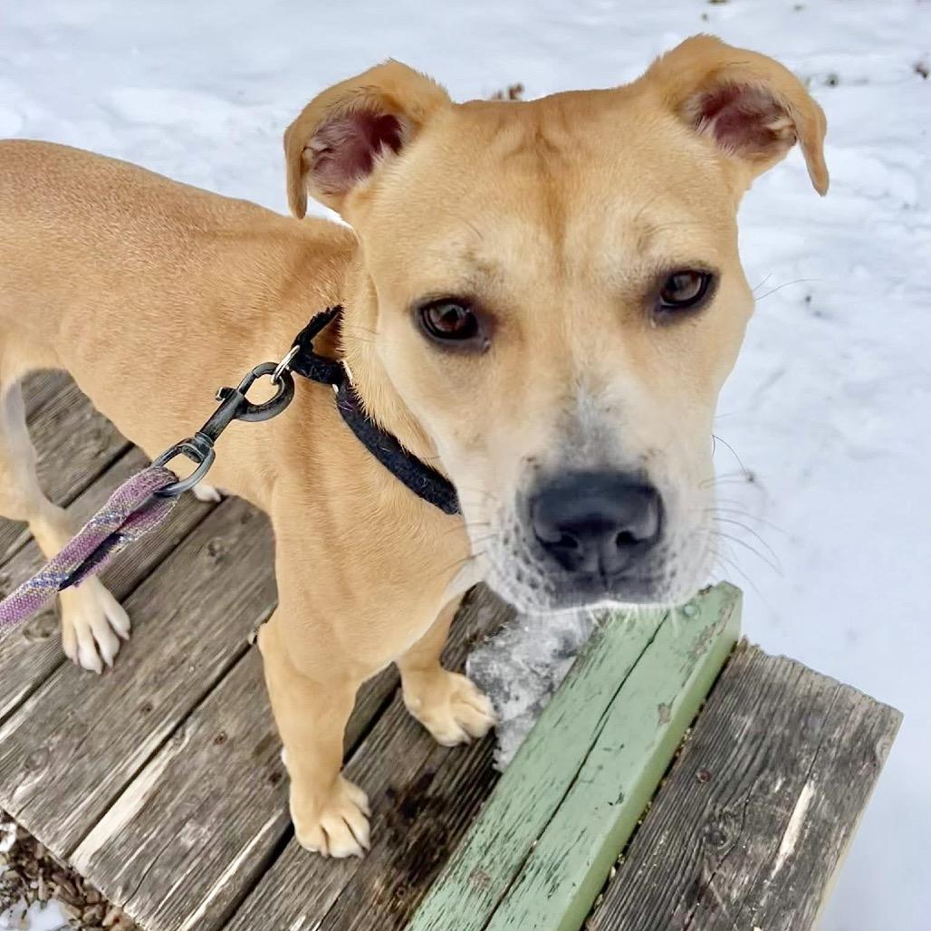 Tatiana — thumbnail 5