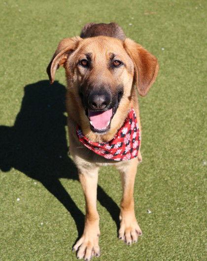 Modelo Athens thumbnail 3