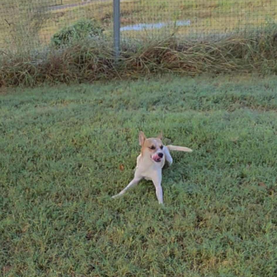 Kenny — thumbnail 6