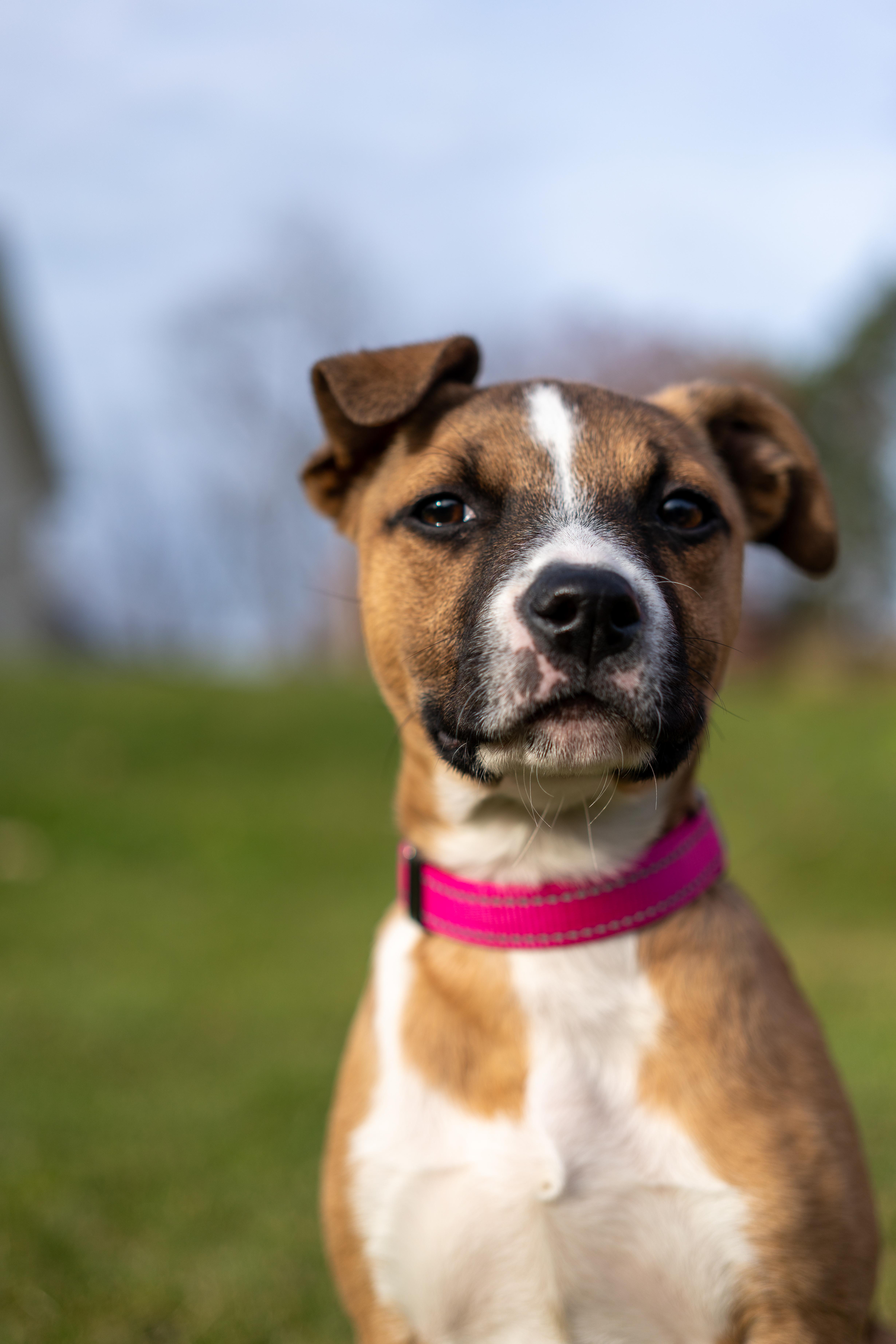 June - one ear up, one ear down!