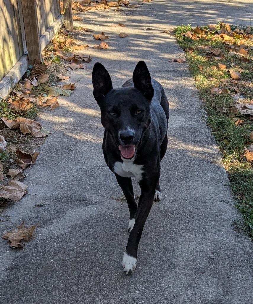 Season — thumbnail 3