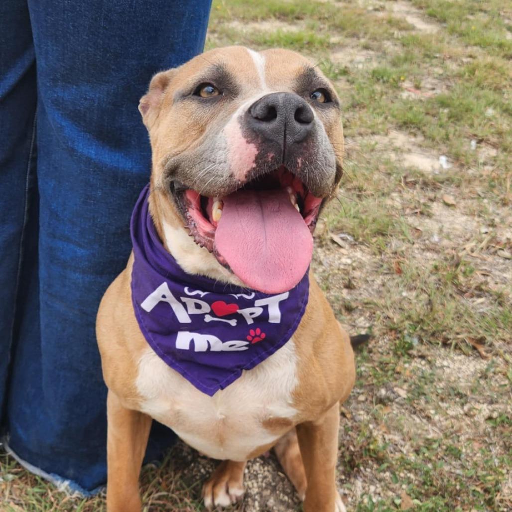 Grace JuM — thumbnail 2