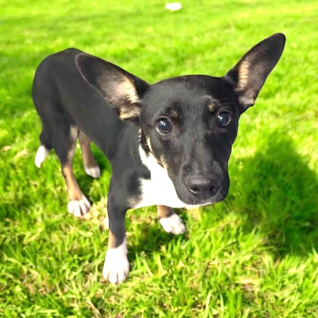 St Joseph Mi Calendar Of Events 