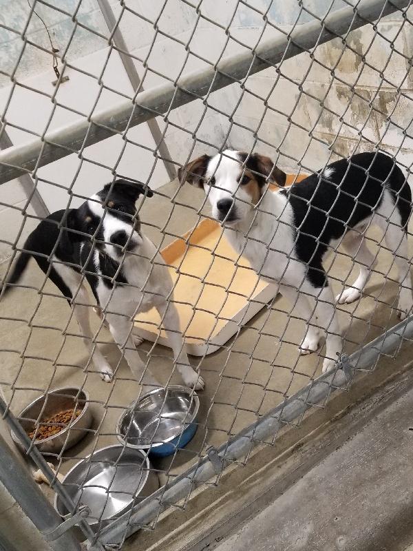 Frasier And Niles photo 1