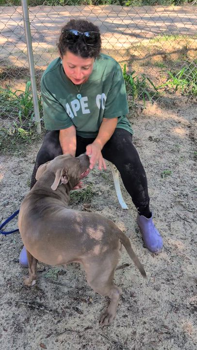 Enlarge Tuli, a Adopted mixed breed in Jacksonville, FL video 5/5