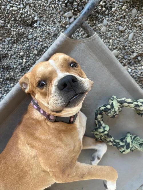 Cruz — thumbnail 5