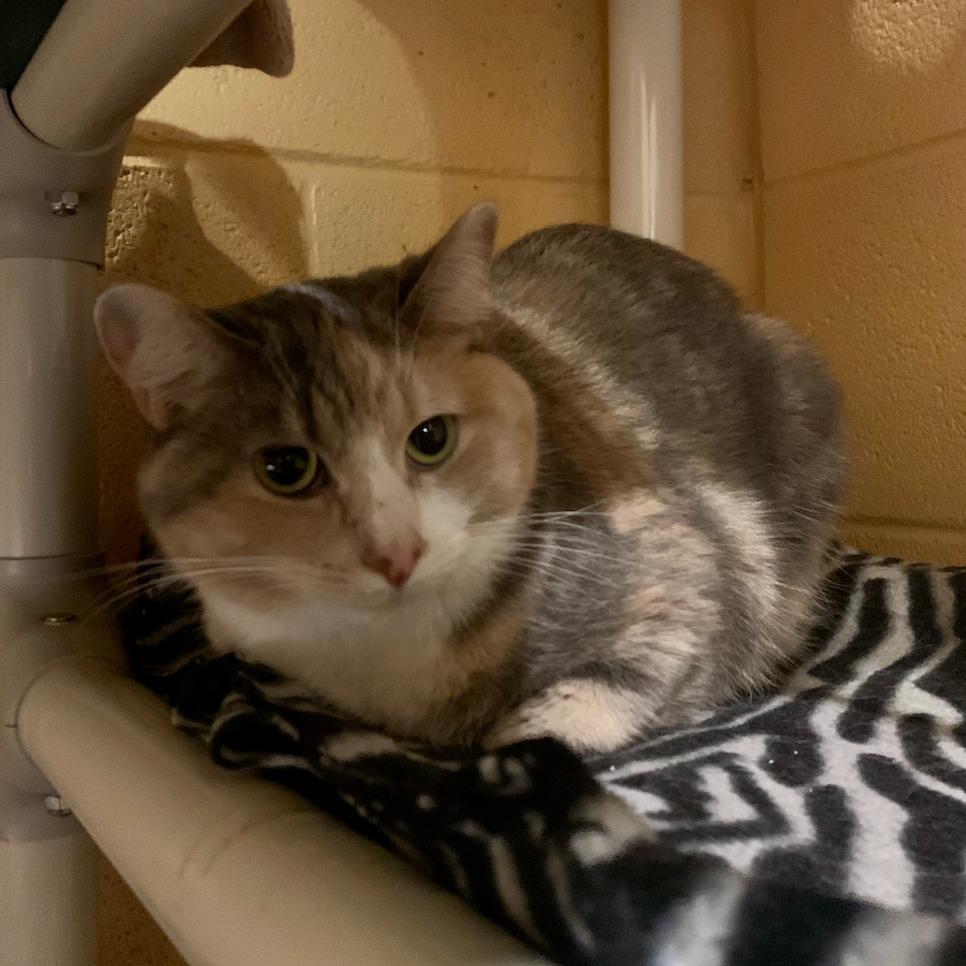 Winter — thumbnail 2