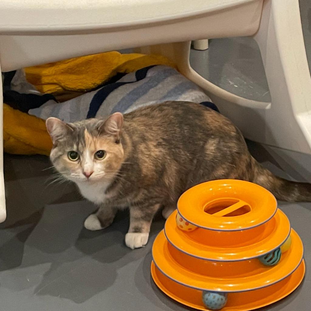 Winter — thumbnail 3