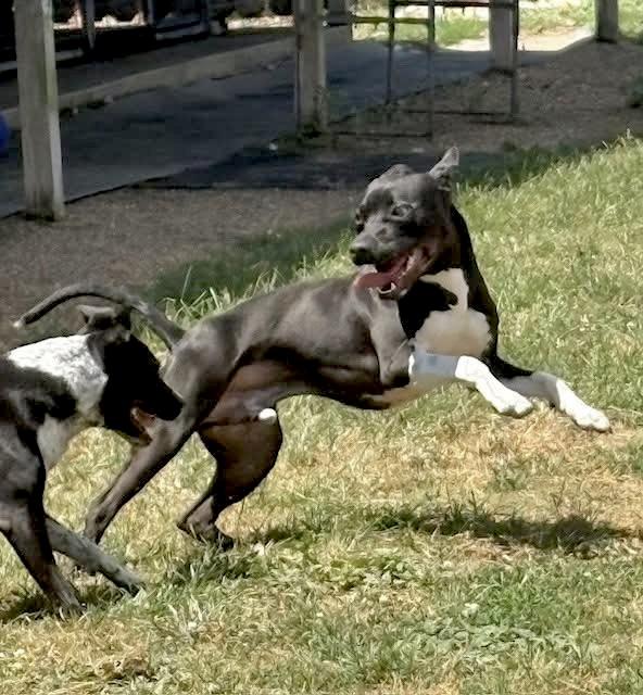 Mickey D — thumbnail 5