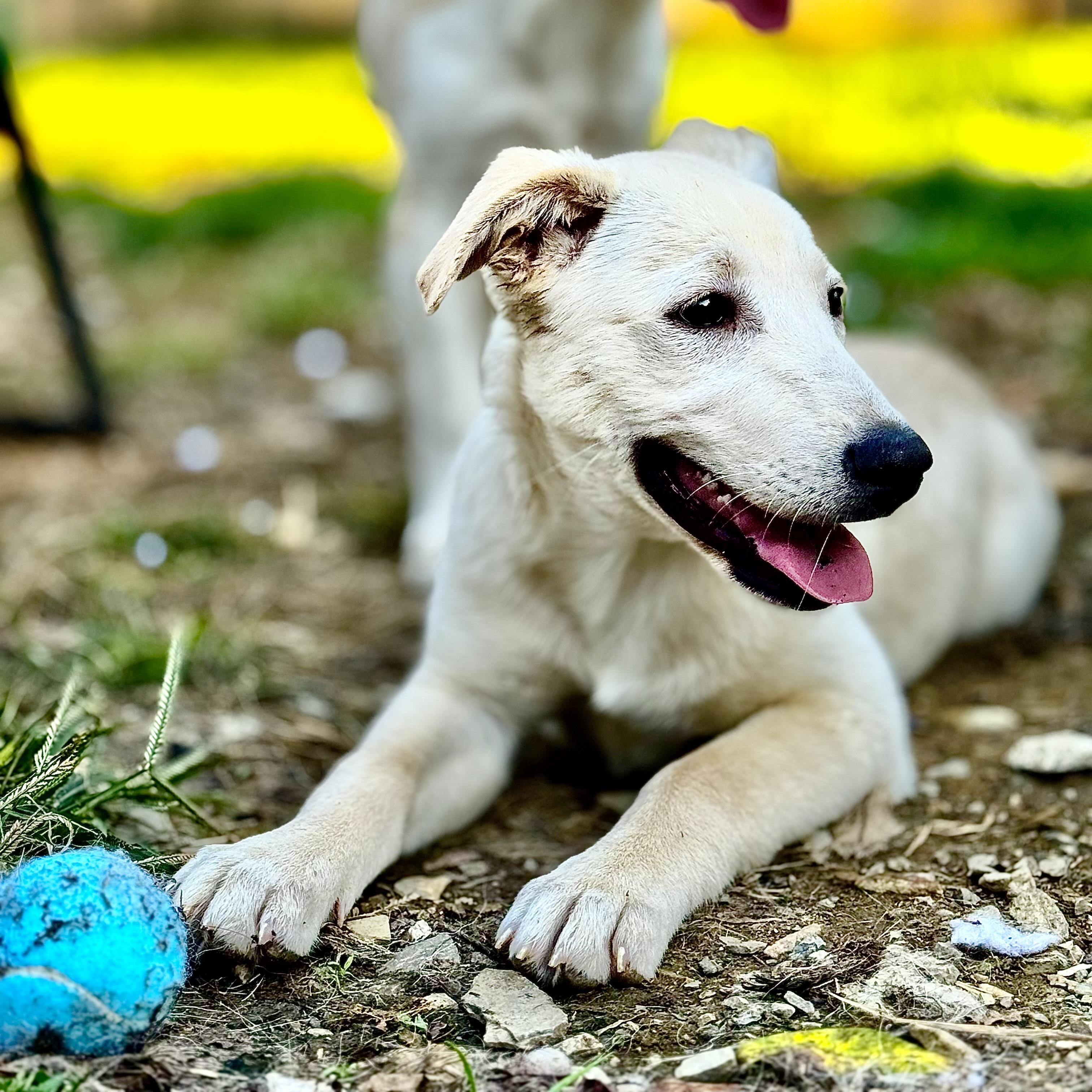 Nala Baby thumbnail 3