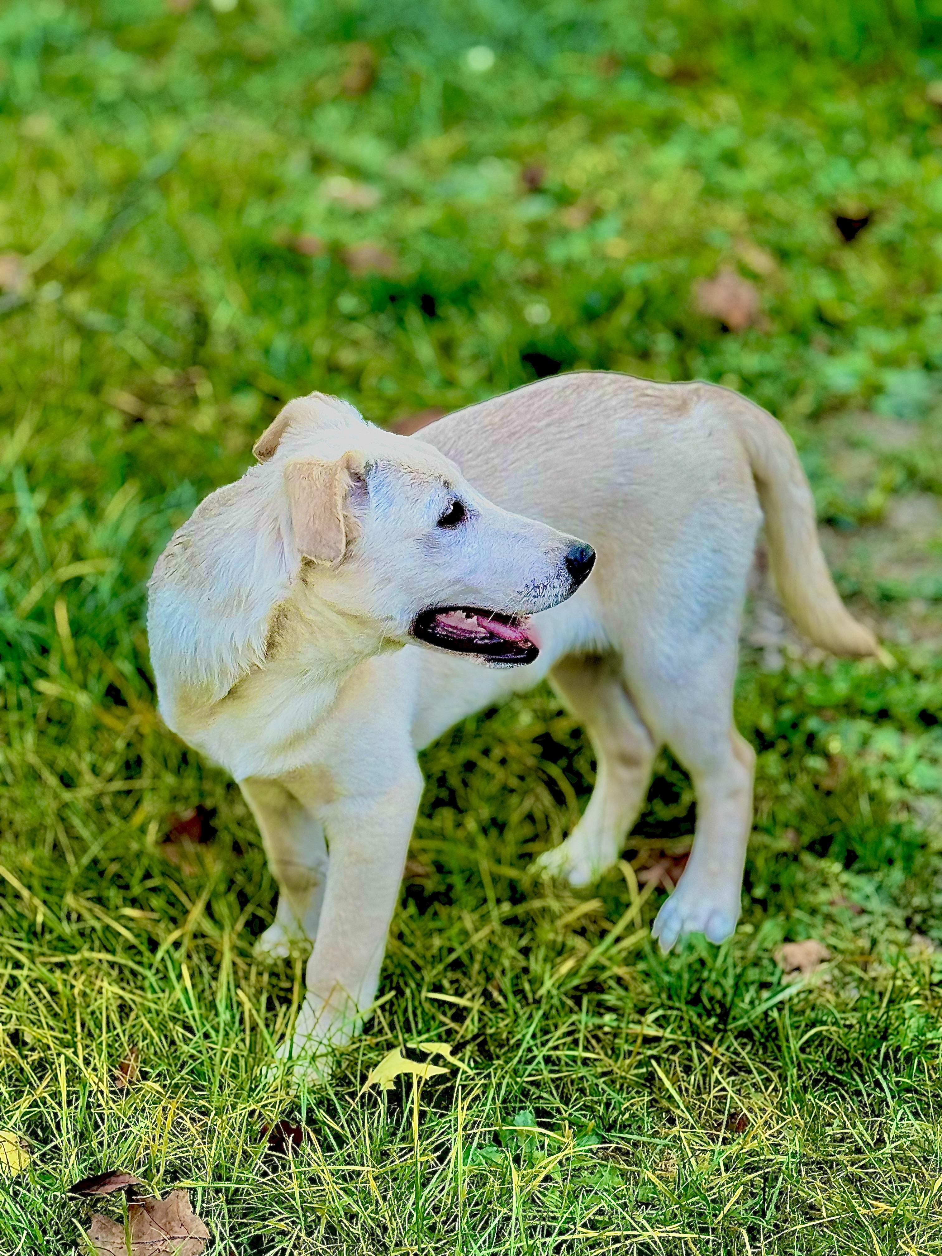 Nala Baby thumbnail 4