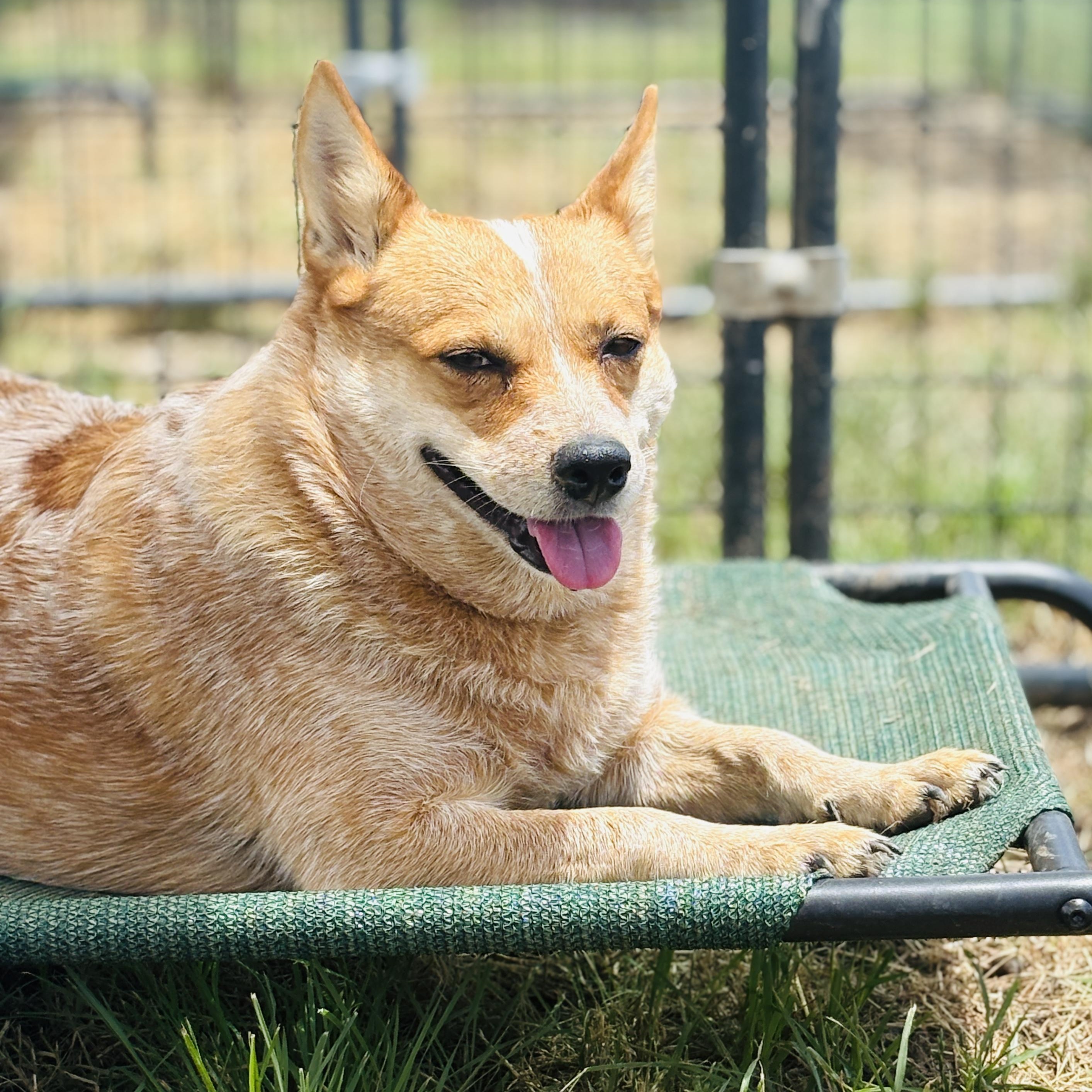 *Bolt and Penny (Bonded Pair)