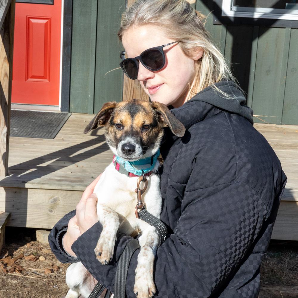 Enlarge Apple (Female)    , a Adoptable mixed breed in West Grove, PA image 2/6