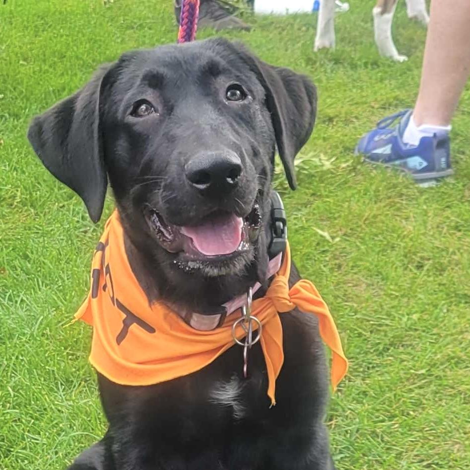 Winnie