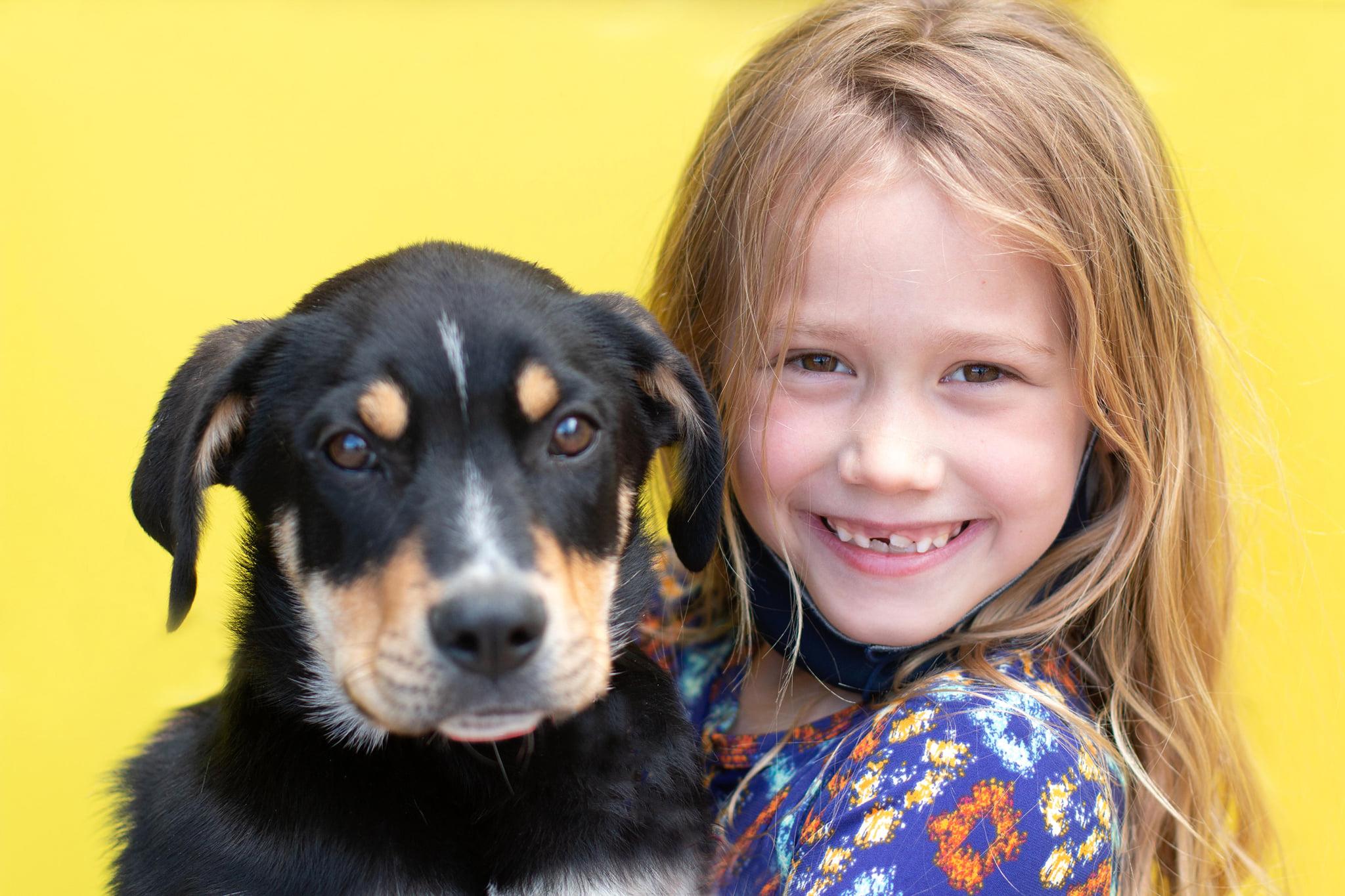 Enlarge Awarra, a Adoptable mixed breed in West Richland, WA image 1/6