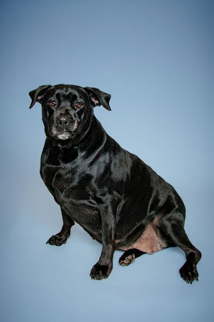 Wilma — thumbnail 3