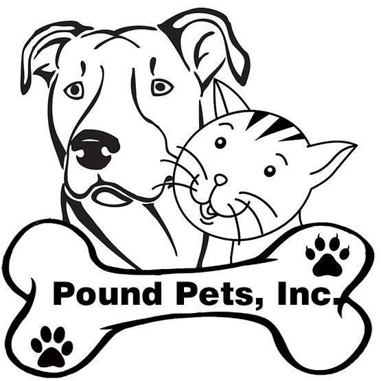 FOSTER HOMES NEEDED - GRANITE CITY, ILLINOIS photo 2