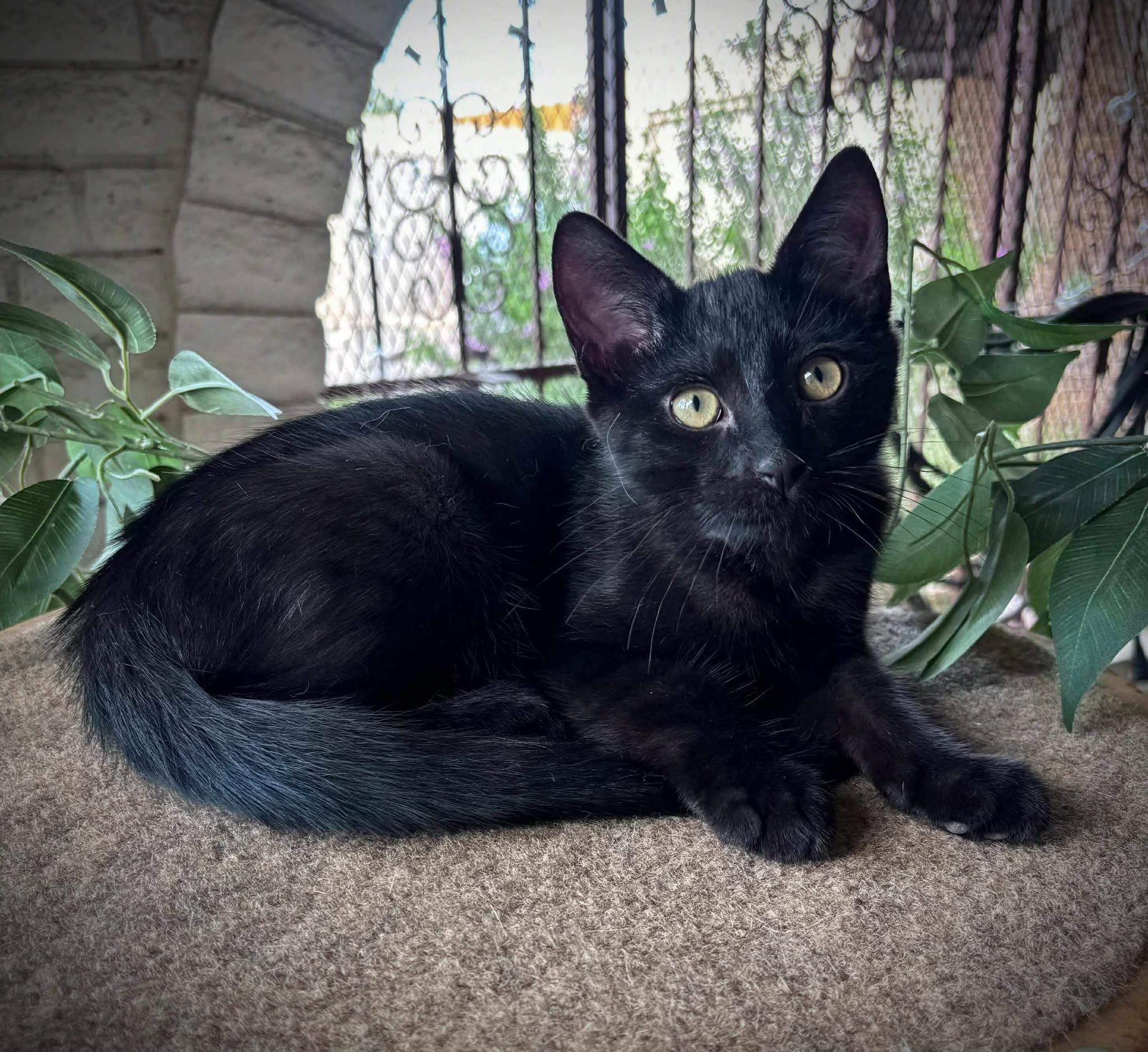 Planet Kindle - Jupiter