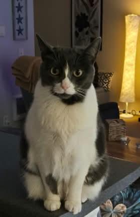 Fiona  %  thumbnail 2