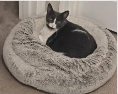 Fiona  %  thumbnail 3