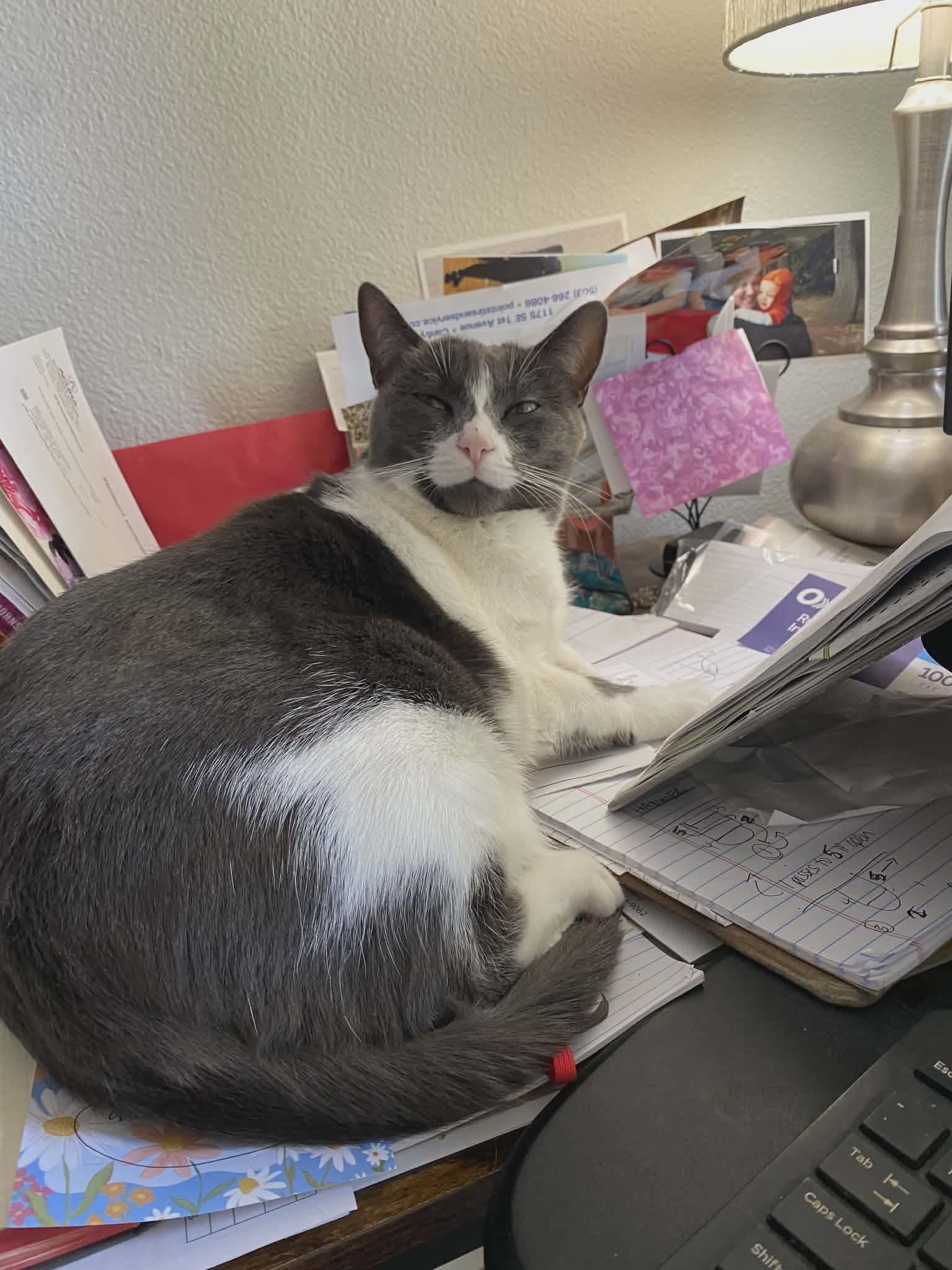 Fiona  %  thumbnail 4