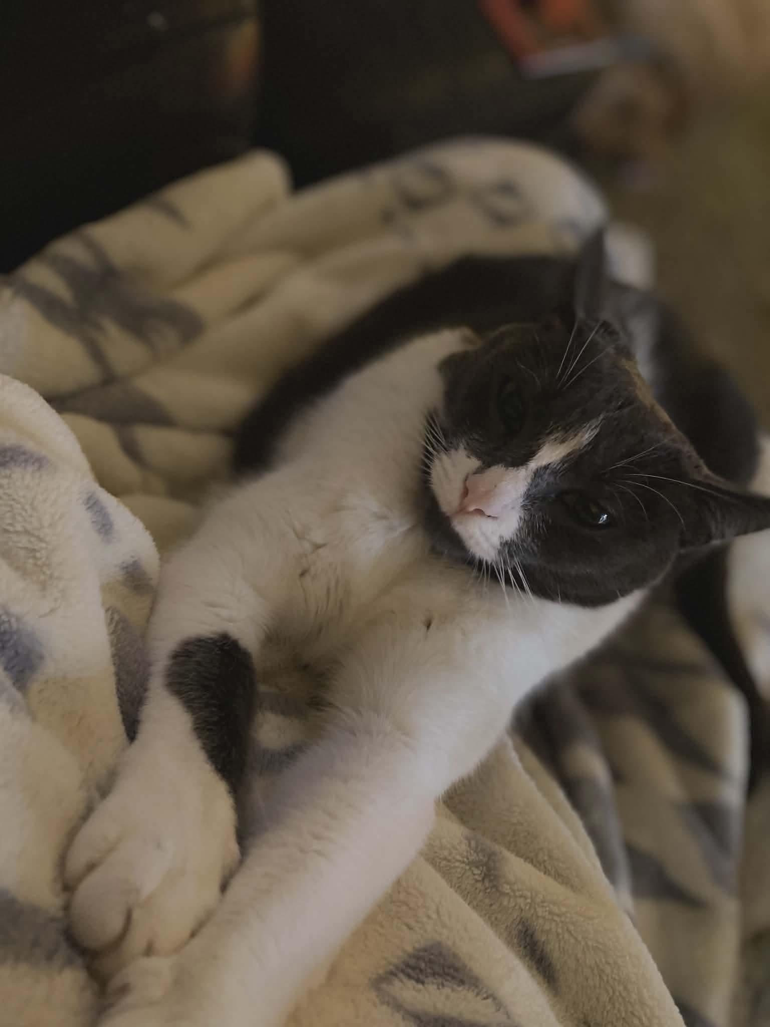 Fiona  %  thumbnail 5