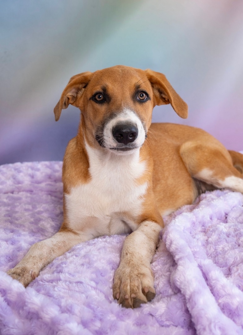 Denim — thumbnail 3