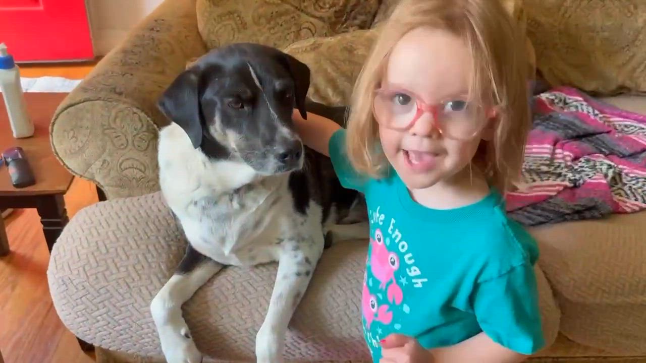 Enlarge Hutch, a Adoptable mixed breed in Andover, CT video 3/6