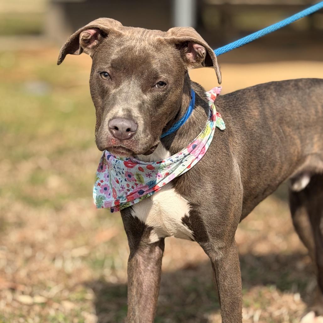 Smithereens — thumbnail 2